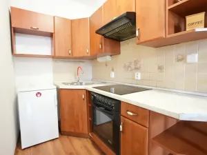Pronájem bytu 1+kk, Beroun, U Židovského hřbitova, 41 m2