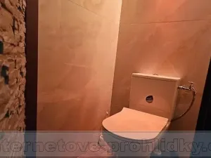 Pronájem bytu 2+kk, Praha - Vysočany, Za Klíčovem, 28 m2