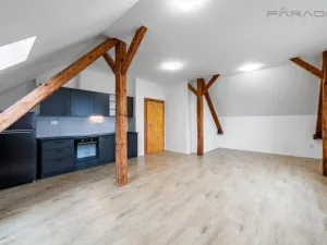 Prodej komerční nemovitosti, Lety, 550 m2
