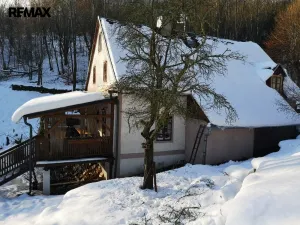 Prodej rodinného domu, Stráž nad Ohří - Srní, 300 m2