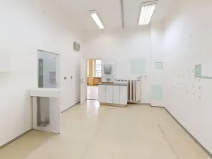 Pronájem ordinace, Ostrava, Jugoslávská, 99 m2