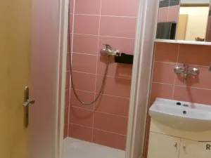 Pronájem bytu 2+kk, Brno, Opavská, 46 m2