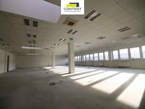 Pronájem výrobních prostor, Přimda - Mlýnec, 8000 m2