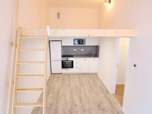 Pronájem bytu 2+kk, Hradec Králové, Dlouhá, 36 m2