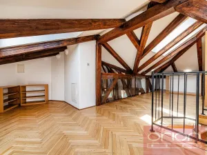 Pronájem bytu 4+1, Praha - Vinohrady, Ibsenova, 305 m2