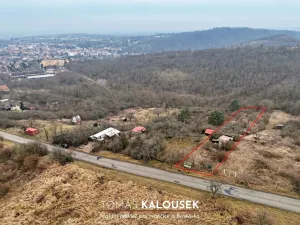 Prodej zahrady, Dolní Kounice, Karlovská, 1166 m2