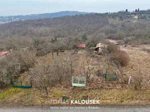 Prodej zahrady, Dolní Kounice, Karlovská, 1166 m2