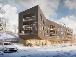 Prodej bytu 2+kk, Železná Ruda, 64 m2