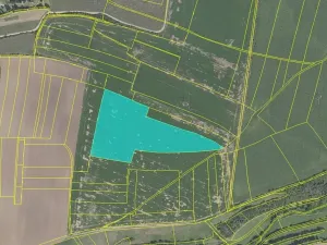 Prodej podílu pole, Vykáň, 38867 m2