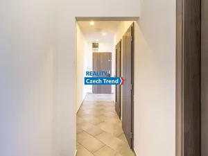 Pronájem pokoje, Olomouc, Skupova, 68 m2