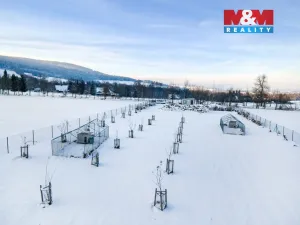 Prodej pozemku pro bydlení, Králíky - Dolní Boříkovice, 8432 m2