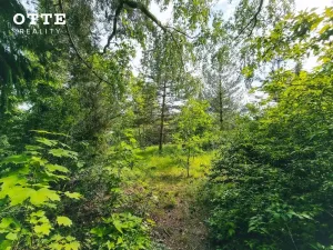 Prodej pozemku pro bydlení, Plzeň - Litice, 850 m2