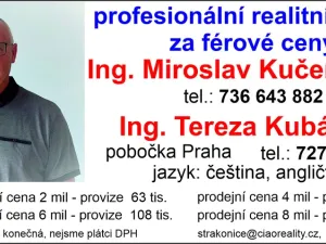 Pronájem obchodního prostoru, Strakonice - Strakonice I, Písecká, 16700 m2