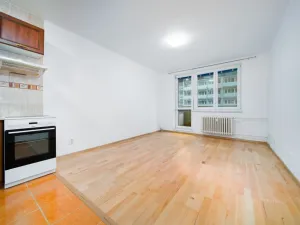 Prodej bytu 1+kk, Ostrava - Moravská Ostrava, U Parku, 32 m2