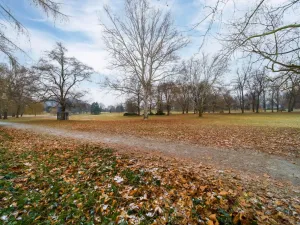 Prodej bytu 1+kk, Ostrava - Moravská Ostrava, U Parku, 32 m2