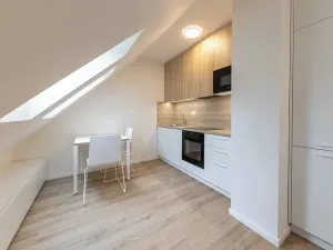 Pronájem bytu 1+kk, Praha - Bubeneč, Veletržní, 29 m2