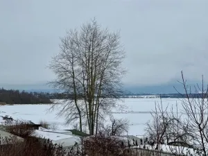 Prodej chaty, Cheb - Dřenice, 60 m2