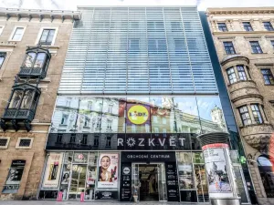 Pronájem bytu 2+1, Brno - Brno-město, Panská, 76 m2