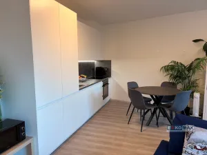 Prodej bytu 1+kk, Praha - Záběhlice, Klapálkova, 47 m2