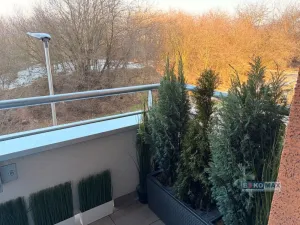 Prodej bytu 1+kk, Praha - Záběhlice, Klapálkova, 47 m2