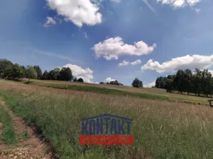 Prodej louky, Prachatice - Libínské Sedlo, 6039 m2