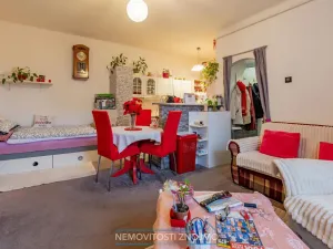 Prodej bytu 1+kk, Znojmo, Růženy Svobodové, 29 m2