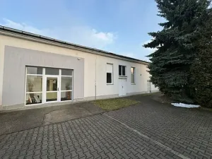 Pronájem obchodního prostoru, Ostrava, Pavlovova, 20 m2