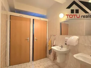 Prodej ordinace, Hronov, Havlíčkova, 1174 m2