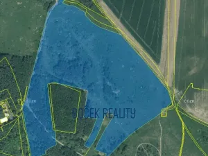 Prodej pole, Stříbro, 695663 m2