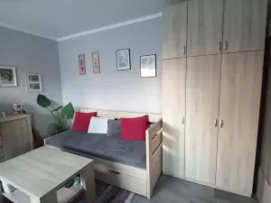 Pronájem bytu 2+kk, Prostějov, Raisova, 40 m2