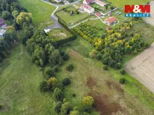 Prodej louky, Františkovy Lázně - Žírovice, 8900 m2