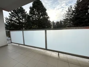 Pronájem bytu 3+kk, Plzeň - Severní Předměstí, Elišky Krásnohorské, 67 m2