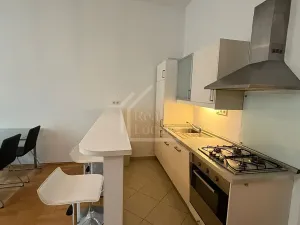 Pronájem bytu 3+kk, Praha - Vinohrady, Mánesova, 75 m2