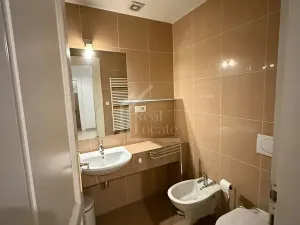Pronájem bytu 3+kk, Praha - Vinohrady, Mánesova, 75 m2