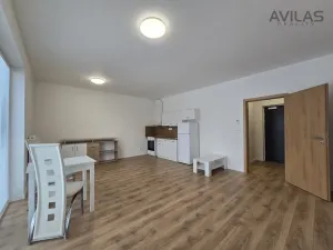Pronájem bytu 1+kk, Benešov, U Pivovaru, 36 m2