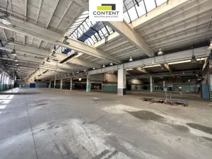 Pronájem výrobních prostor, Příbram - Příbram I, Obecnická, 9000 m2