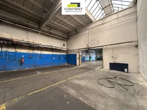 Pronájem výrobních prostor, Příbram - Příbram I, Obecnická, 9000 m2