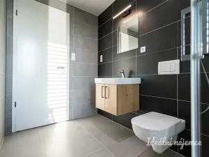 Pronájem bytu 1+kk, Praha - Malešice, Mölzerova, 30 m2