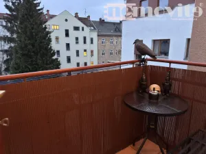 Pronájem bytu 2+kk, Hradec Králové, Československé armády, 50 m2