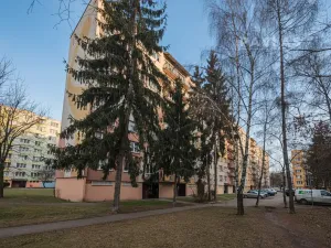 Prodej bytu 2+1, České Budějovice, Plzeňská, 50 m2