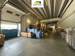 Pronájem skladu, Říčany, U Sanitasu, 2000 m2