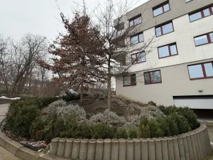 Pronájem bytu 3+kk, Praha - Žižkov, Malešická, 86 m2