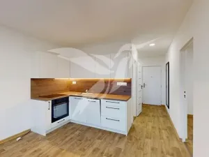 Pronájem bytu 1+1, Plzeň, Lábkova, 46 m2