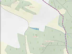 Prodej lesa, Čepřovice, 982 m2