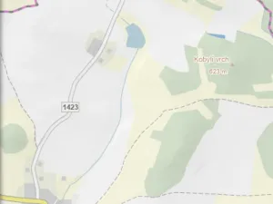 Prodej lesa, Čepřovice, 982 m2