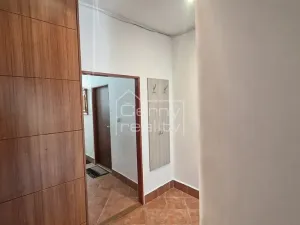 Pronájem bytu 4+kk, Pardubice, V Ráji, 350 m2