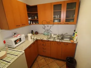 Pronájem bytu 4+1, České Budějovice - České Budějovice 3, Holečkova, 100 m2