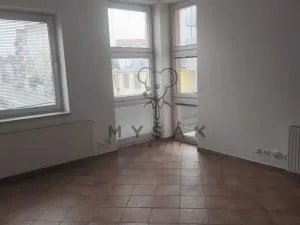 Pronájem bytu 4+1, České Budějovice - České Budějovice 3, Holečkova, 100 m2