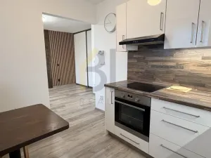 Pronájem bytu 1+1, Hodonín, Pančava, 31 m2