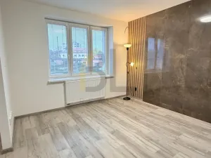 Pronájem bytu 1+1, Hodonín, Pančava, 31 m2